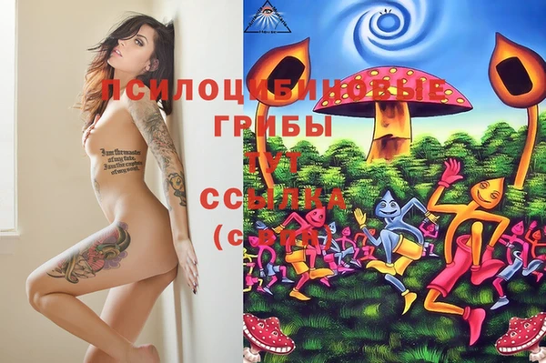 мет Лагань