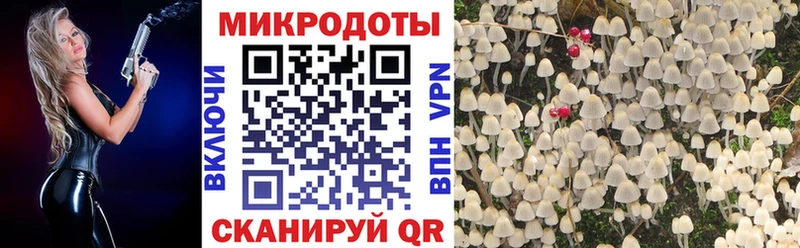 Псилоцибиновые грибы Magic Shrooms Таганрог