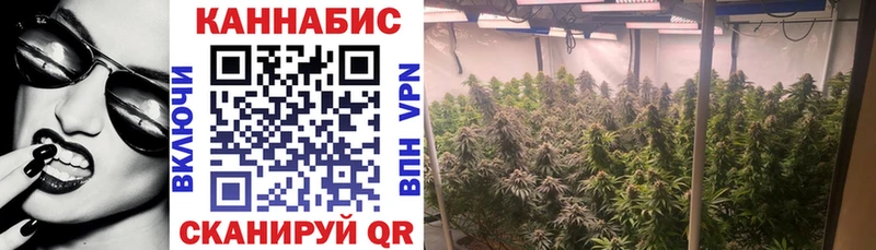Бошки Шишки OG Kush Таганрог